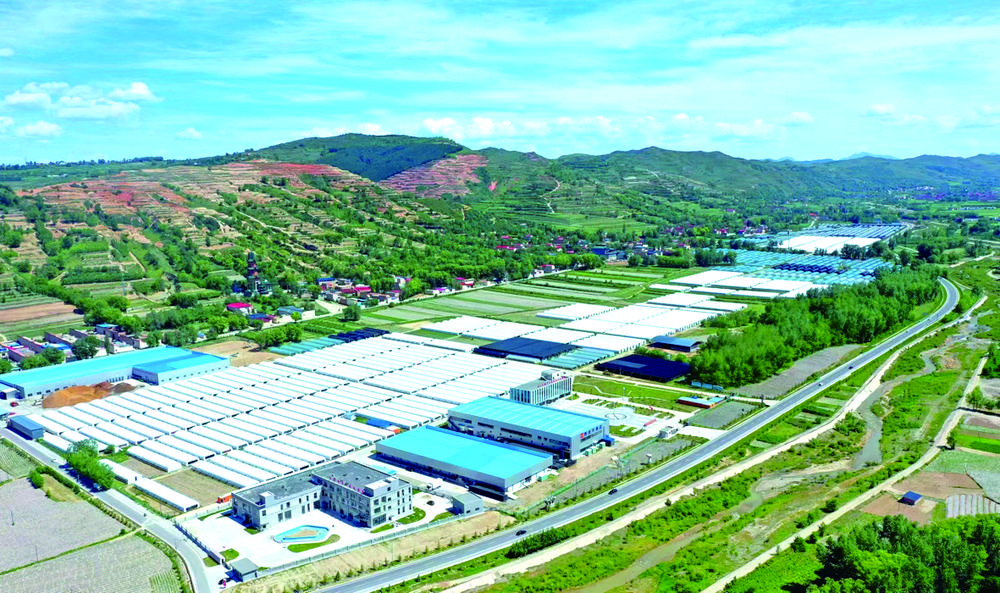 1741048943576904.jpg 53c8db15-8e74-44e3-b0c3-d4b4f3a871ab.tif.jpg